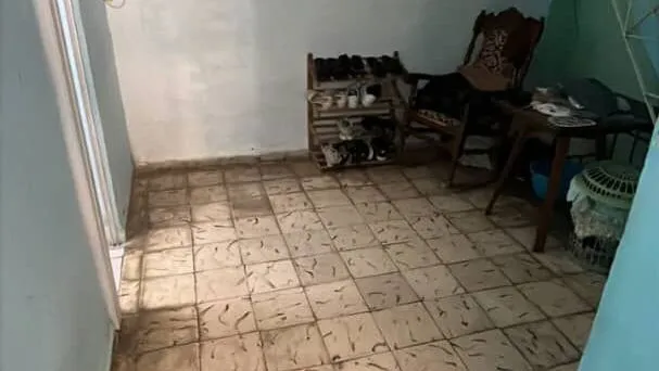 Vista de la propiedad 5