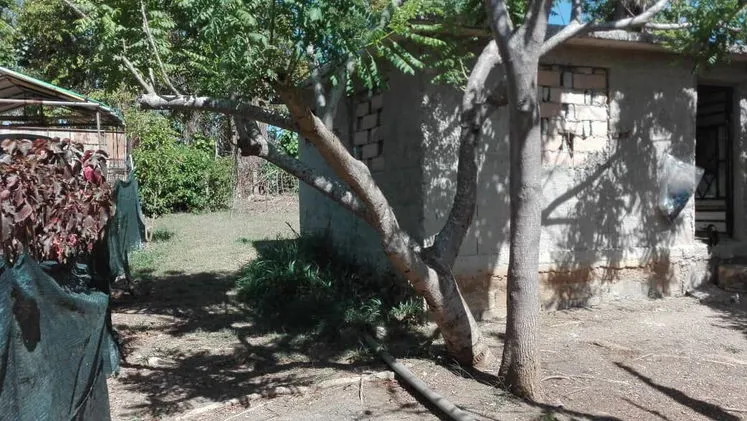Vista de la propiedad 9