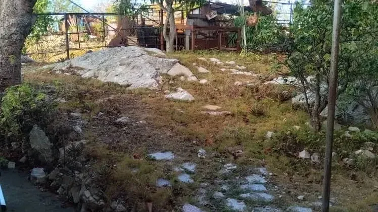 Vista de la propiedad 9