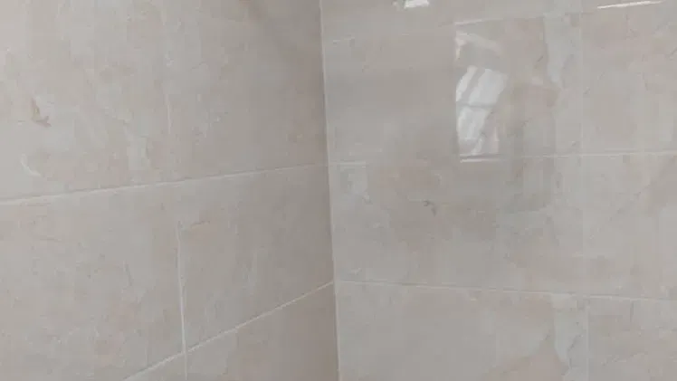 Vista de la propiedad 2