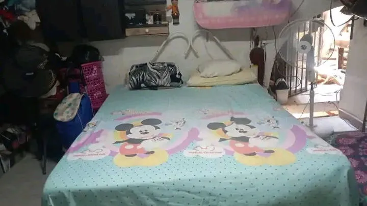 Vista de la propiedad 8