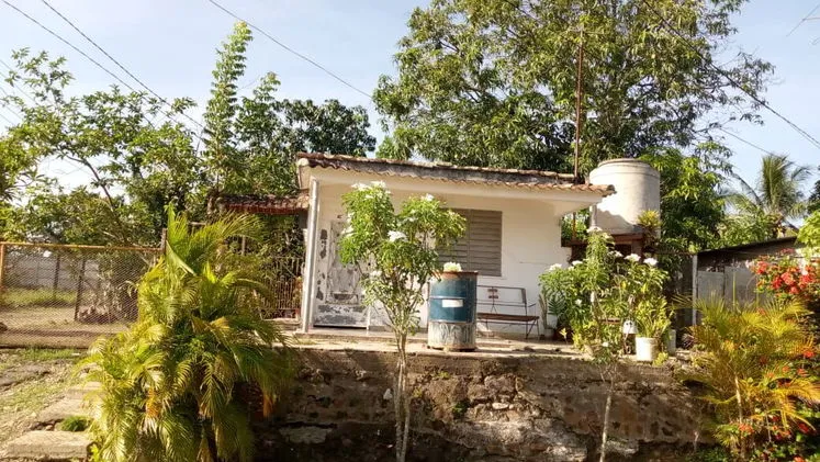 Vista de la propiedad 4