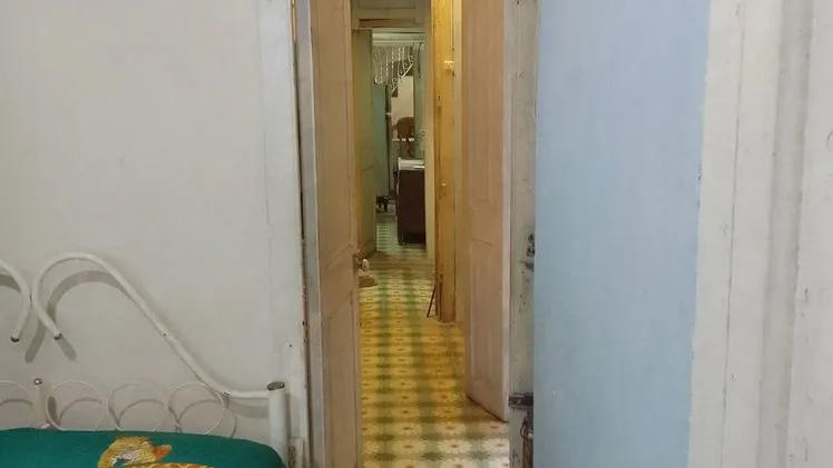 Vista de la propiedad 5