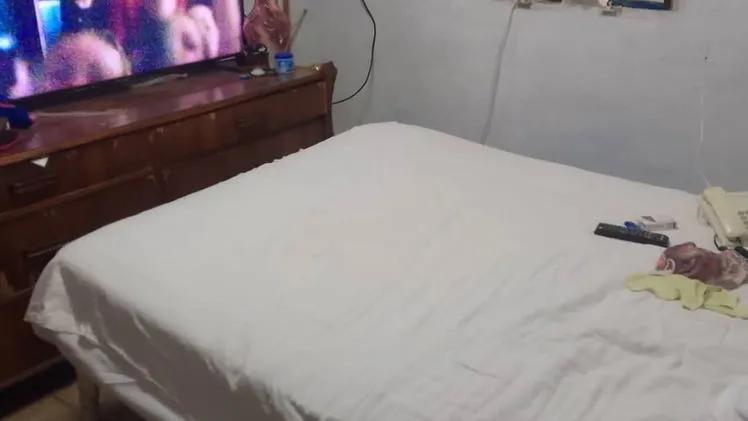 Vista de la propiedad 7