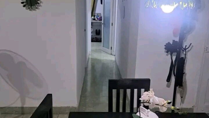 Vista de la propiedad 4