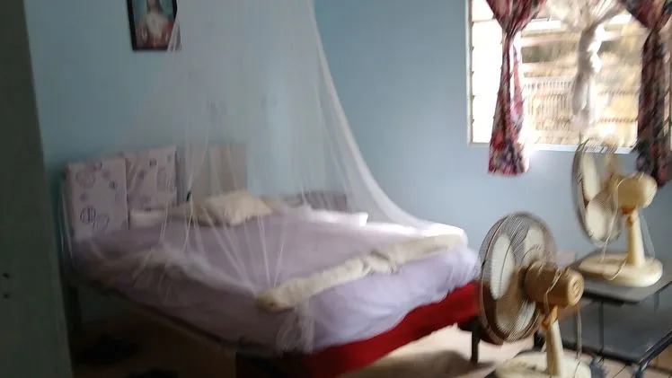 Property view 6