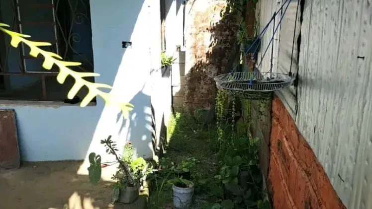 Vista de la propiedad 4