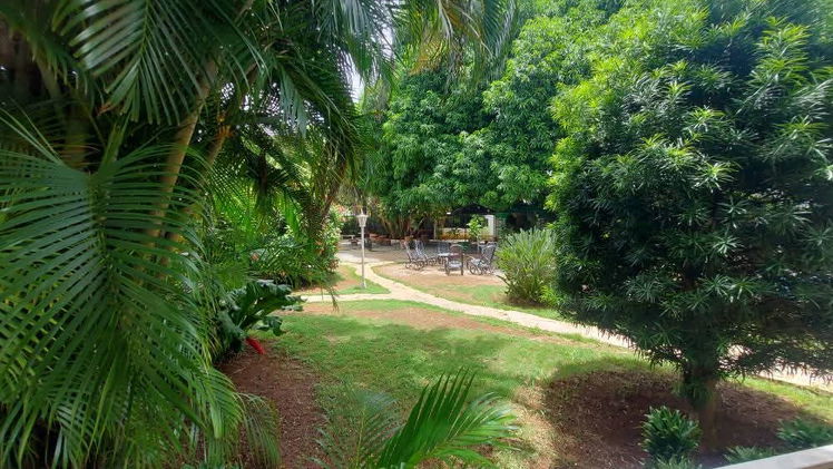 Vista de la propiedad 2
