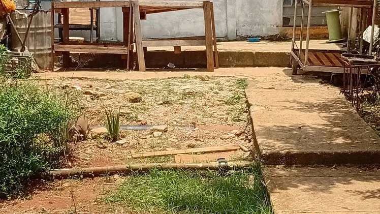 Property view 2