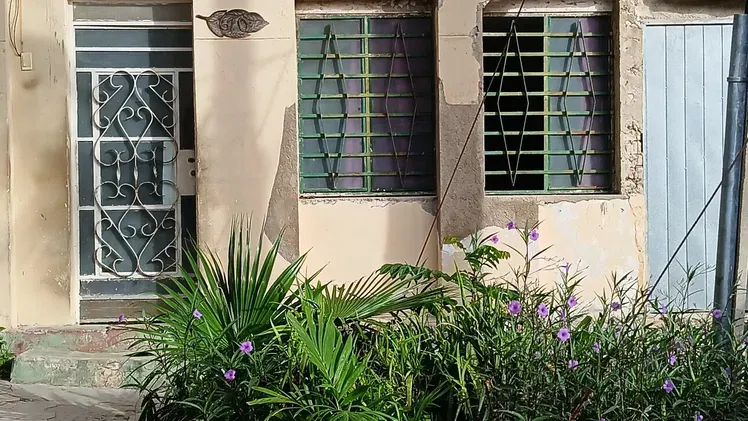 Vista de la propiedad 7