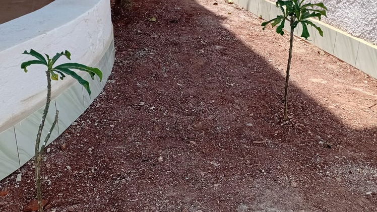 Vista de la propiedad 7