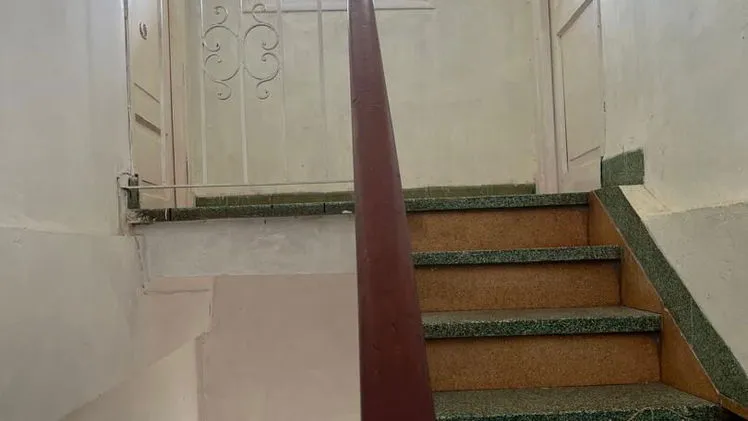 Vista de la propiedad 8
