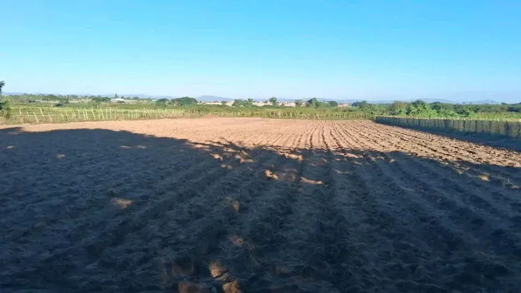 Vista de la propiedad 3