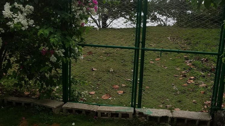 Vista de la propiedad 3