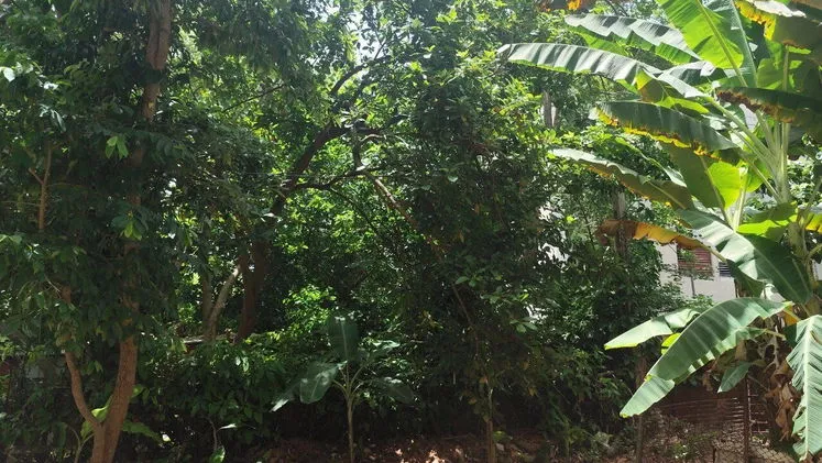 Vista de la propiedad 8