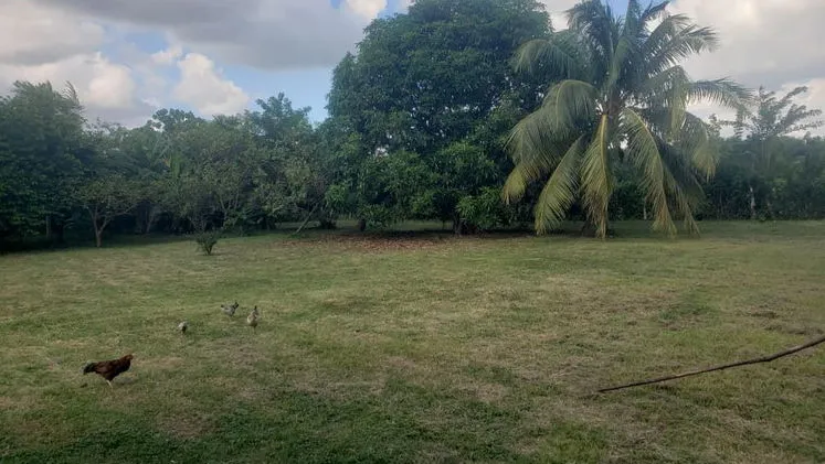 Vista de la propiedad 7