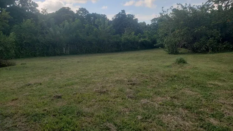 Vista de la propiedad 10