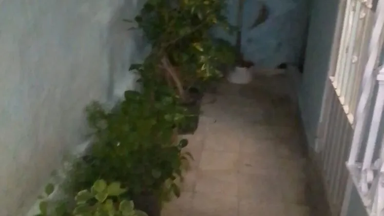 Vista de la propiedad 9