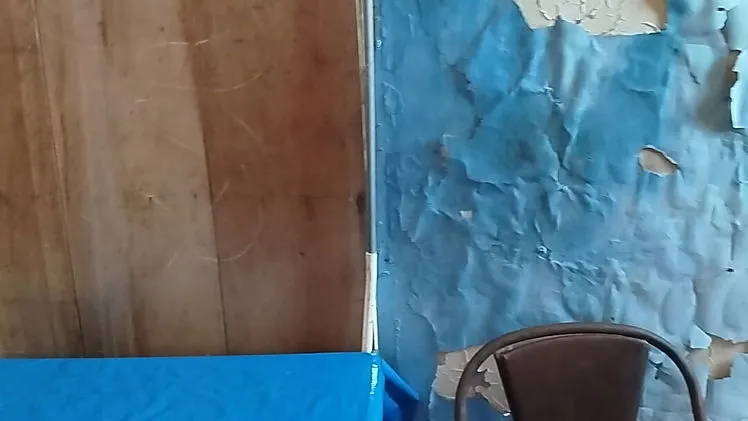 Vista de la propiedad 6