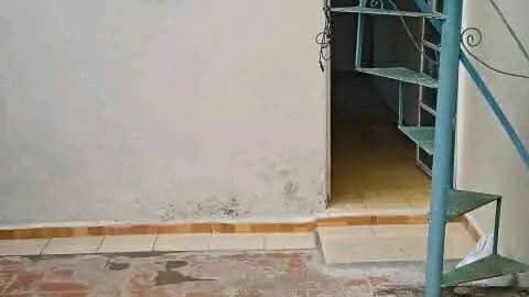 Vista de la propiedad 3