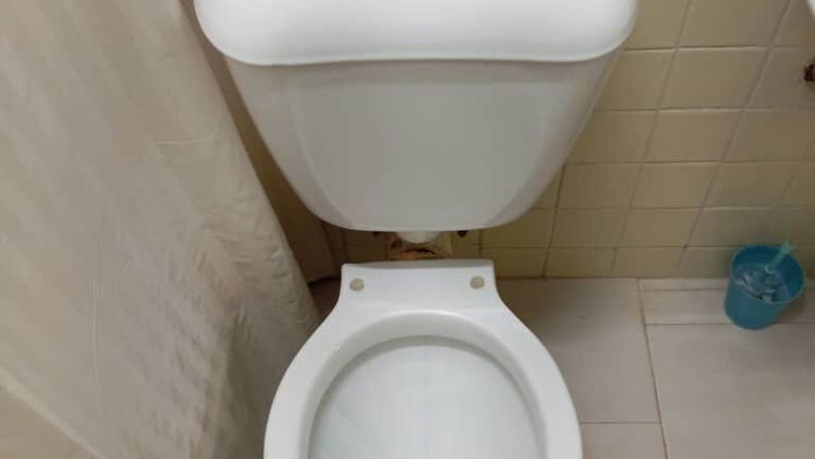 Vista de la propiedad 5