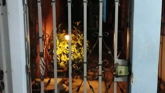 Vista de la propiedad 4
