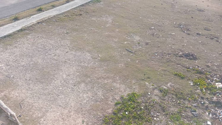 Vista de la propiedad 2