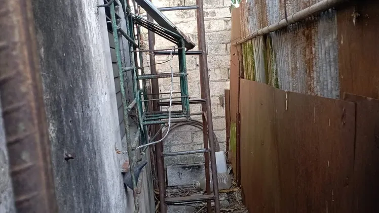 Vista de la propiedad 8