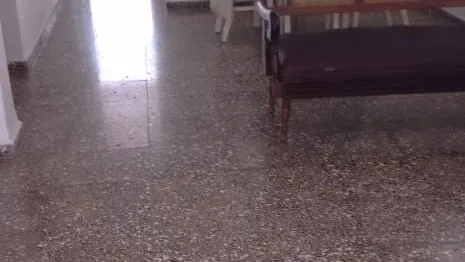 Vista de la propiedad 6