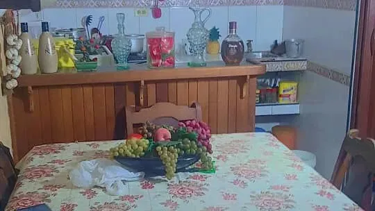 Vista de la propiedad 3