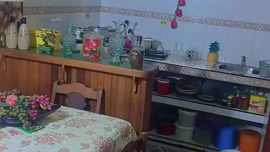 Vista de la propiedad 2