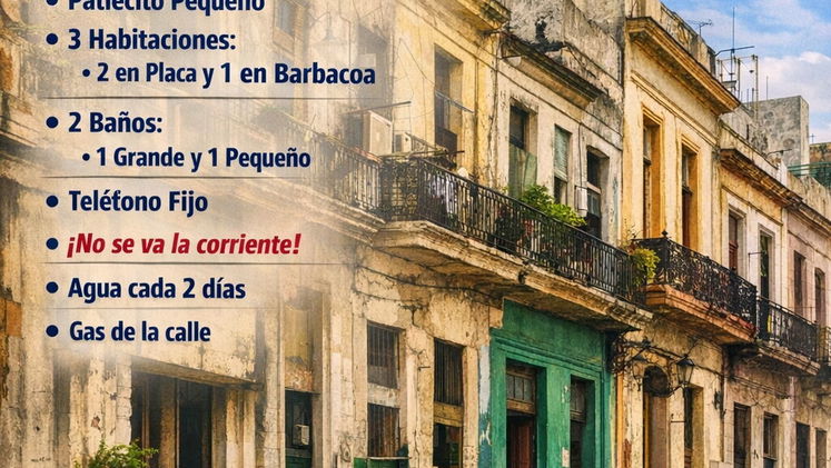 Vista de la propiedad 3