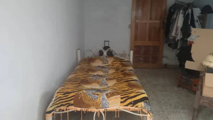 Vista de la propiedad 8