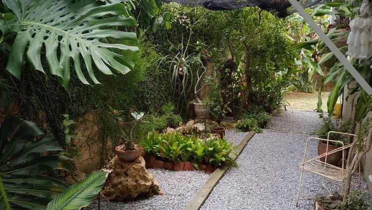Vista de la propiedad 2