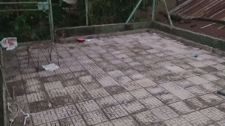 Vista de la propiedad 9