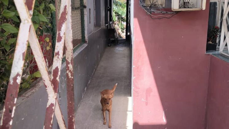 Property view 2