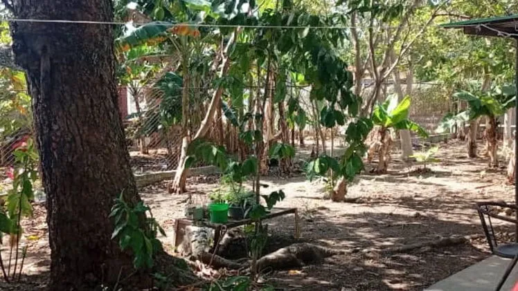 Vista de la propiedad 9