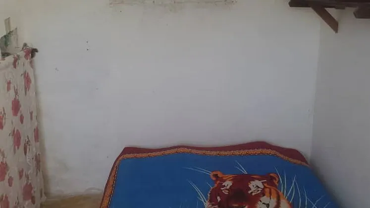 Vista de la propiedad 7