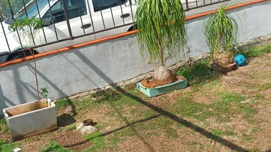 Casa Nuevo Vedado con patio jardin garaje 120mil 53582376