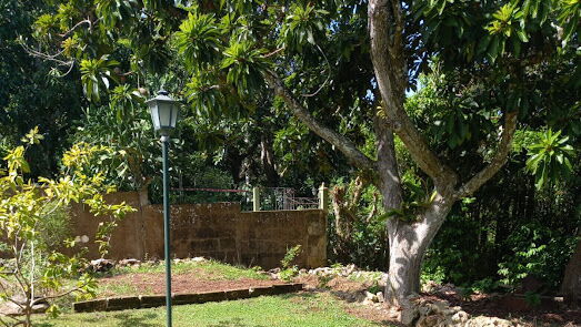Property view 5