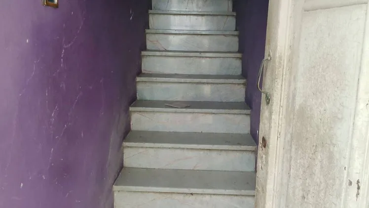 Vista de la propiedad 3