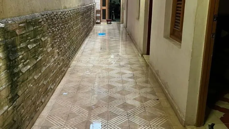 Vista de la propiedad 7