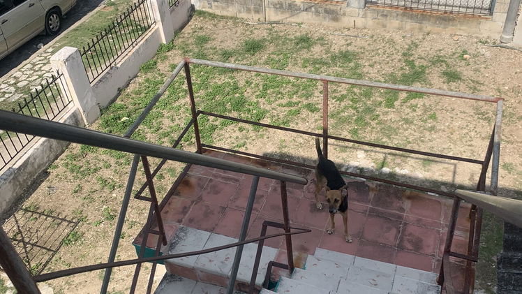 Vista de la propiedad 6