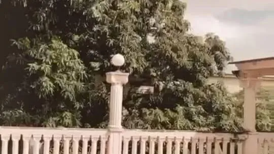 Vista de la propiedad 9
