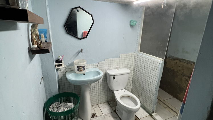Vista de la propiedad 4