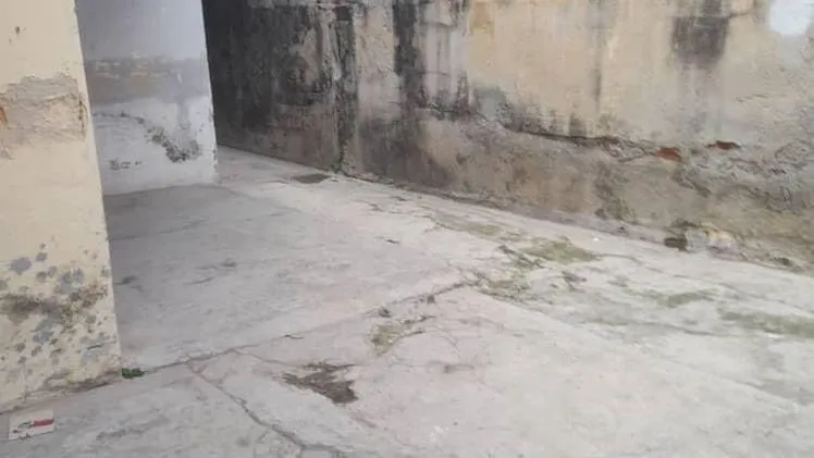 Vista de la propiedad 9