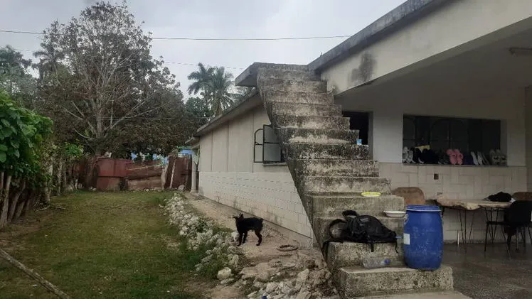 Property main view