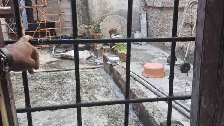 Vista de la propiedad 6