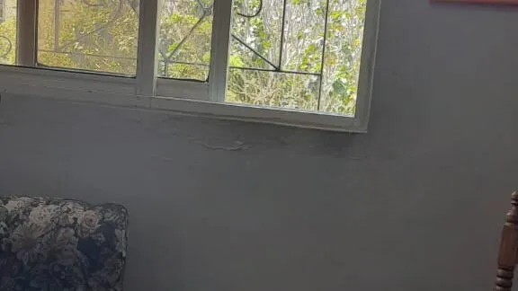 Vista de la propiedad 9