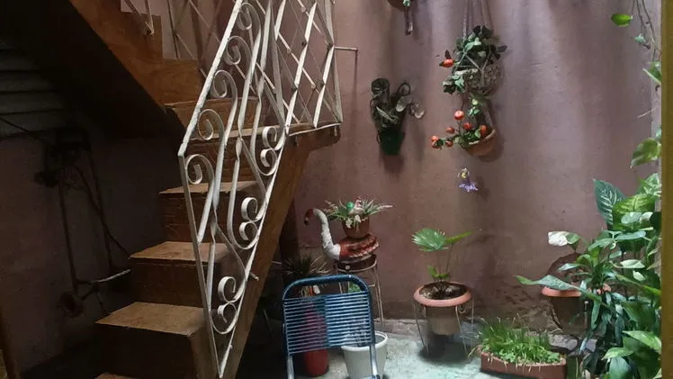 Vista de la propiedad 2
